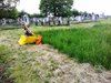 Friedhof - Frhjahr 2018