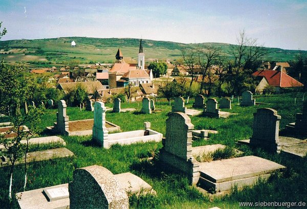 Friedhof mit Weinberg