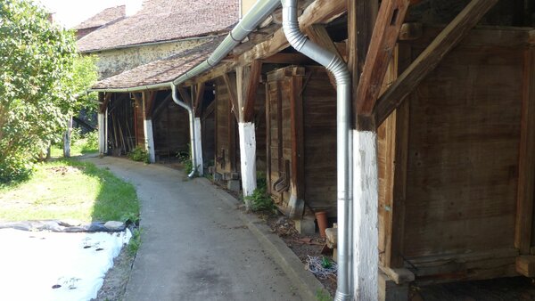 Reumarkt im Jahr 2015