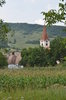 Blick zur Roder Kirchenburg