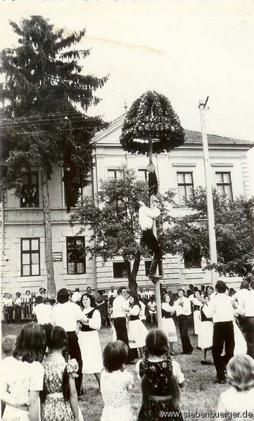1979 Kronenfest Tanz