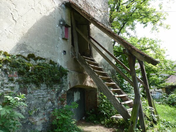 Rothberg im Jahr 2014