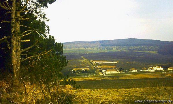 Schaas - Die Staatsfarm 1979