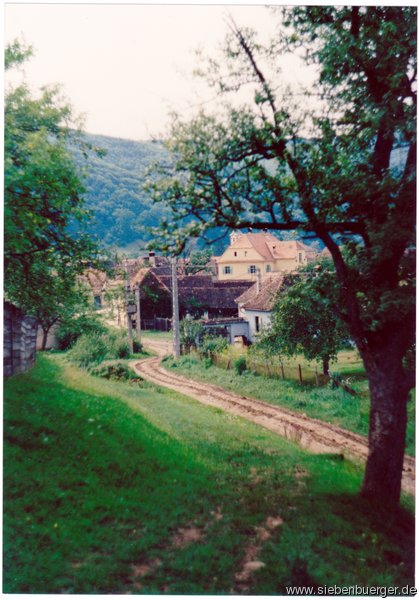 Schaas - Niederste Hill
