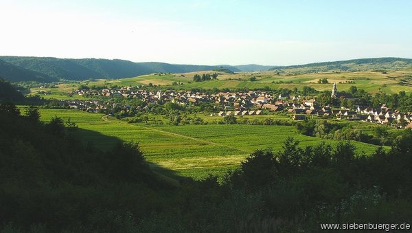 Schaas - Panorama