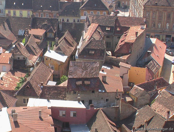 Schburg - Juli 2008 - 19