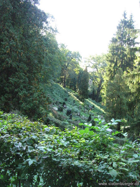 Friedhof Schburg 2005