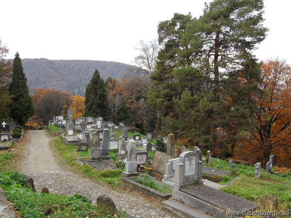 Schburg - Bergfriedhof