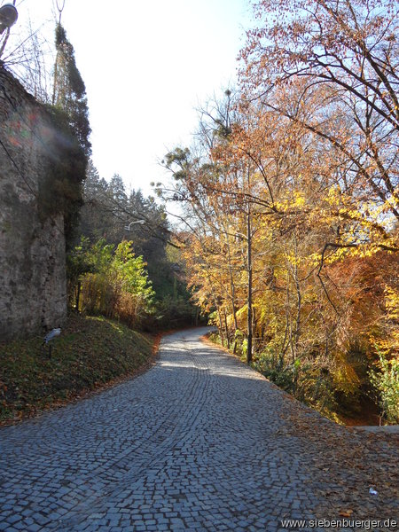 Schburg - Herbst