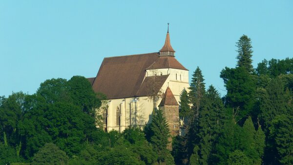 Schburg im Jahr 2016