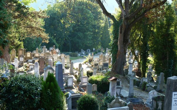 Schburg im Jahr 2011