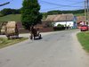 Fuhrwerk mit einer Pferdestrke