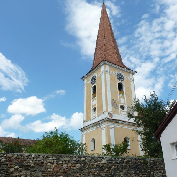 Schellenberg im Jahr 2014
