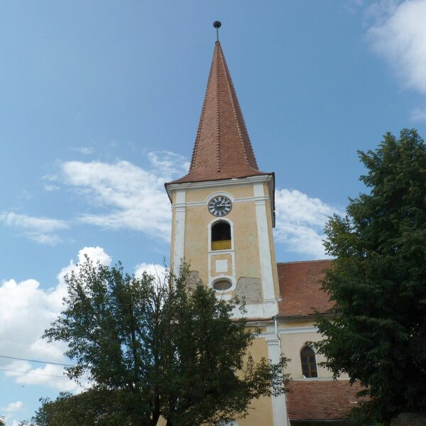 Schellenberg im Jahr 2014