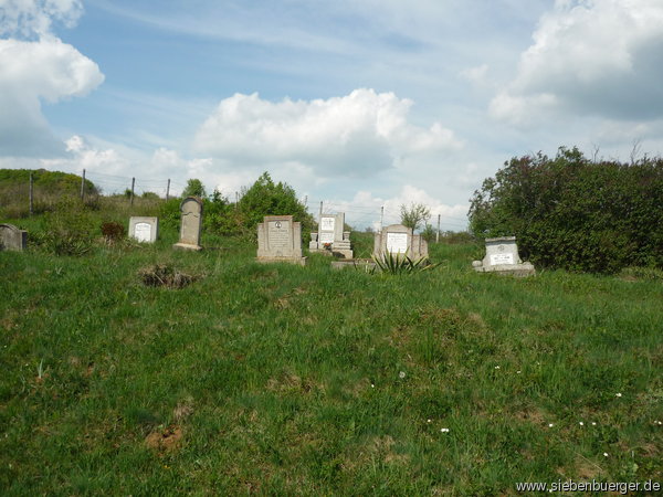 Friedhof (Frhjahr 2009)
