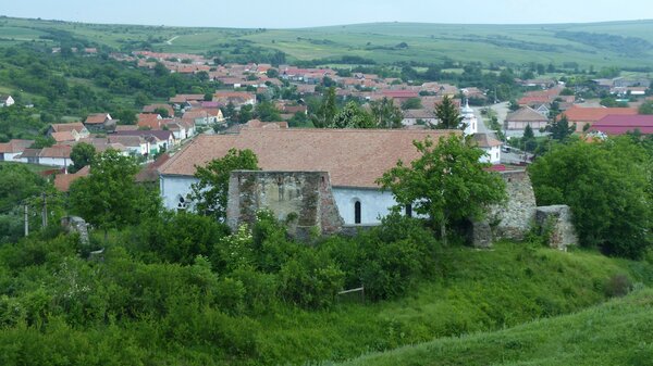 Scholten im Jahr 2015