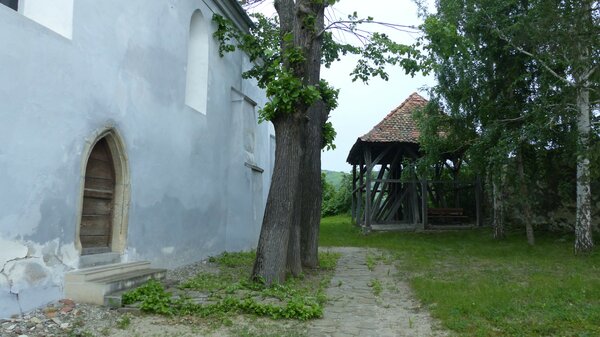 Scholten im Jahr 2015