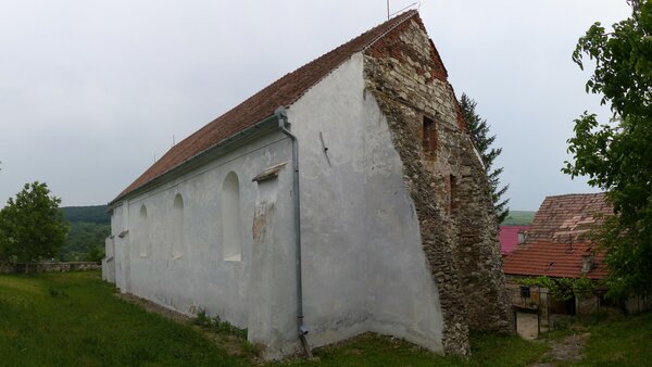 Scholten im Jahr 2015