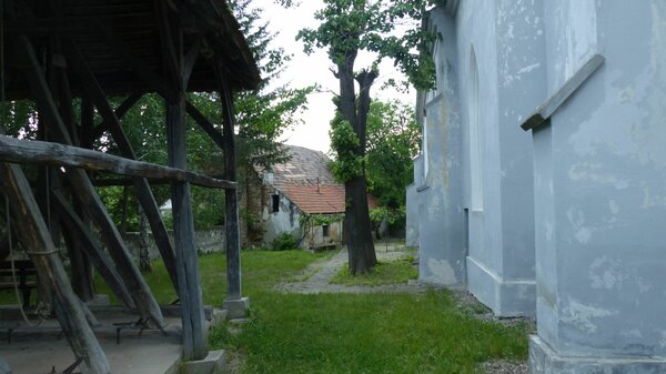 Scholten im Jahr 2015