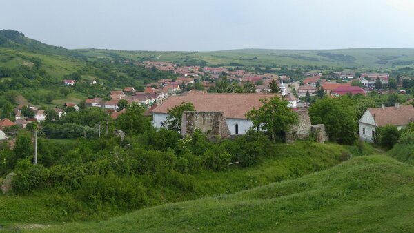 Scholten im Jahr 2015