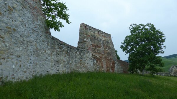 Scholten im Jahr 2015