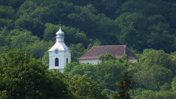 Schweischer im Jahr 2014