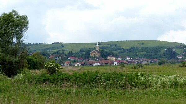 Seiburg im Jahr 2016