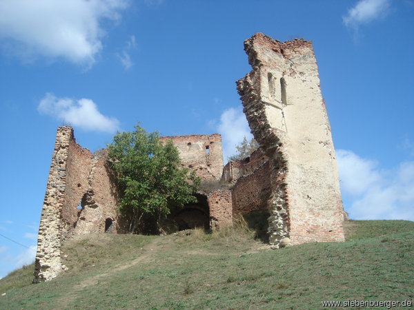 Ruine der Stolzenburg