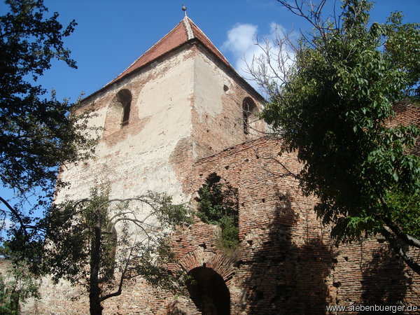 Ruine der Stolzenburg 