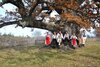 Streitforter Eiche - die größte Eiche Südosteuropas und Baum des Jahres 2010