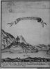 Der Rothe Thurn.1735. Conrad von Weiss.Geschickt: Georg Schoenpflug von Gambsenberg