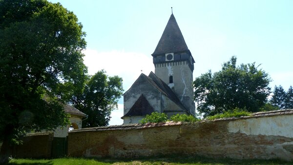 Tarteln im Jahr 2015