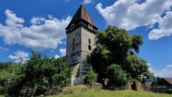 Tarteln im Jahr 2022