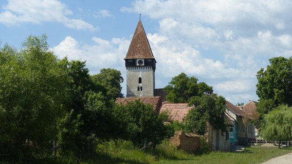 Tarteln im Jahr 2015