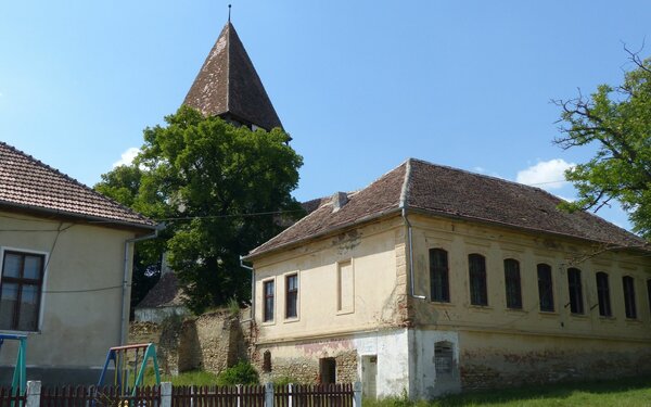 Tarteln im Jahr 2015