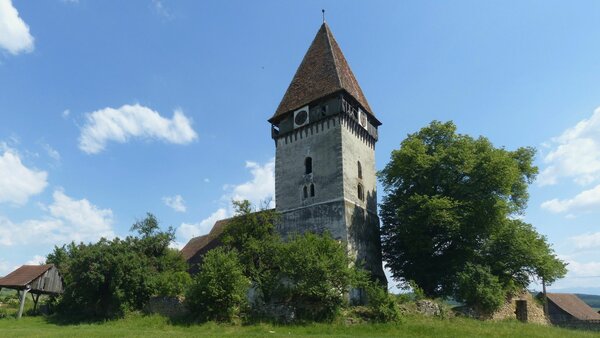 Tarteln im Jahr 2015