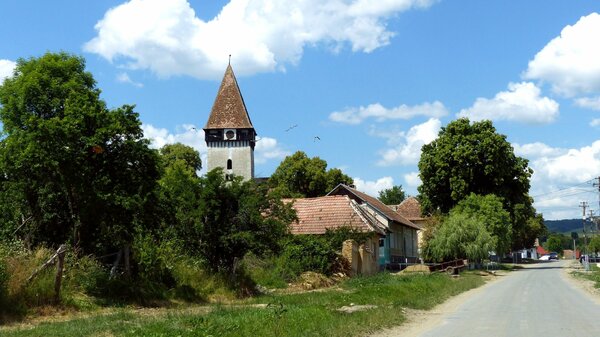 Tarteln im Jahr 2022