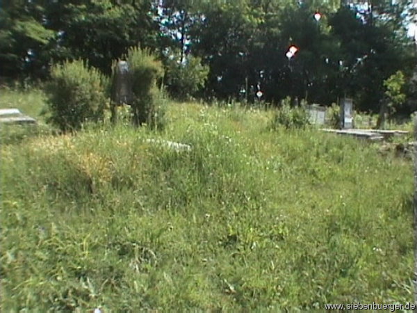 Friedhof 2 Pfingsten 2003