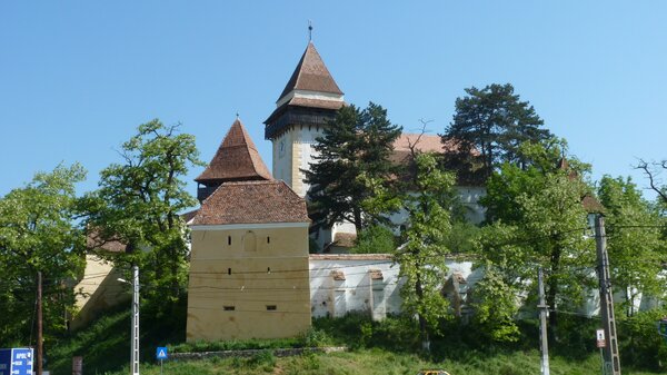 Trappold im Jahr 2013