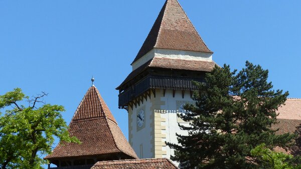 Trappold im Jahr 2013