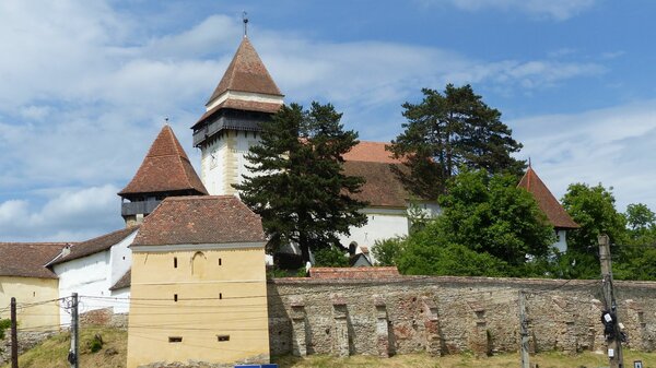 Trappold im Jahr 2023