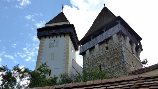 Trappold im Jahr 2017