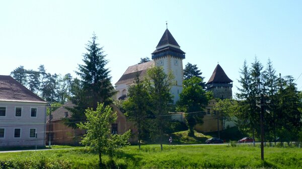 Trappold im Jahr 2014