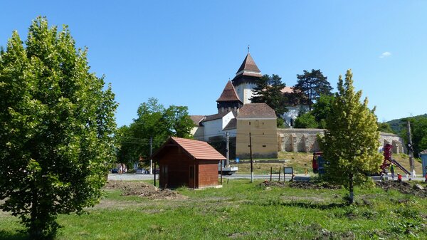 Trappold im Jahr 2022