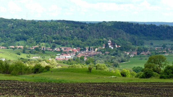 Trappold im Jahr 2017