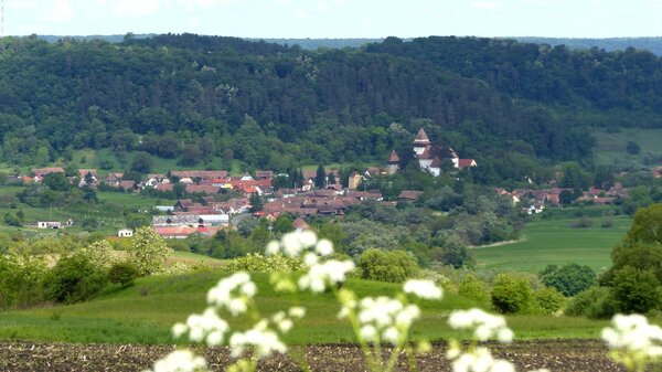 Trappold im Jahr 2017