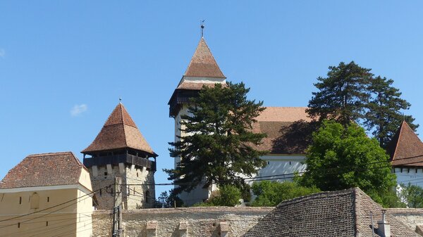 Trappold im Jahr 2022