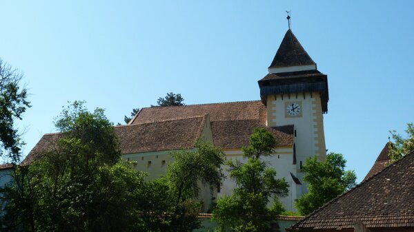 Trappold im Jahr 2013