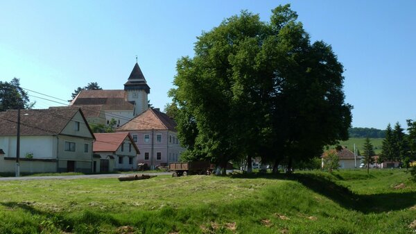 Trappold im Jahr 2014