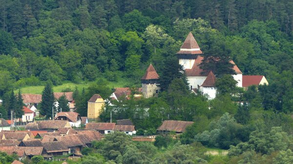 Trappold im Jahr 2017